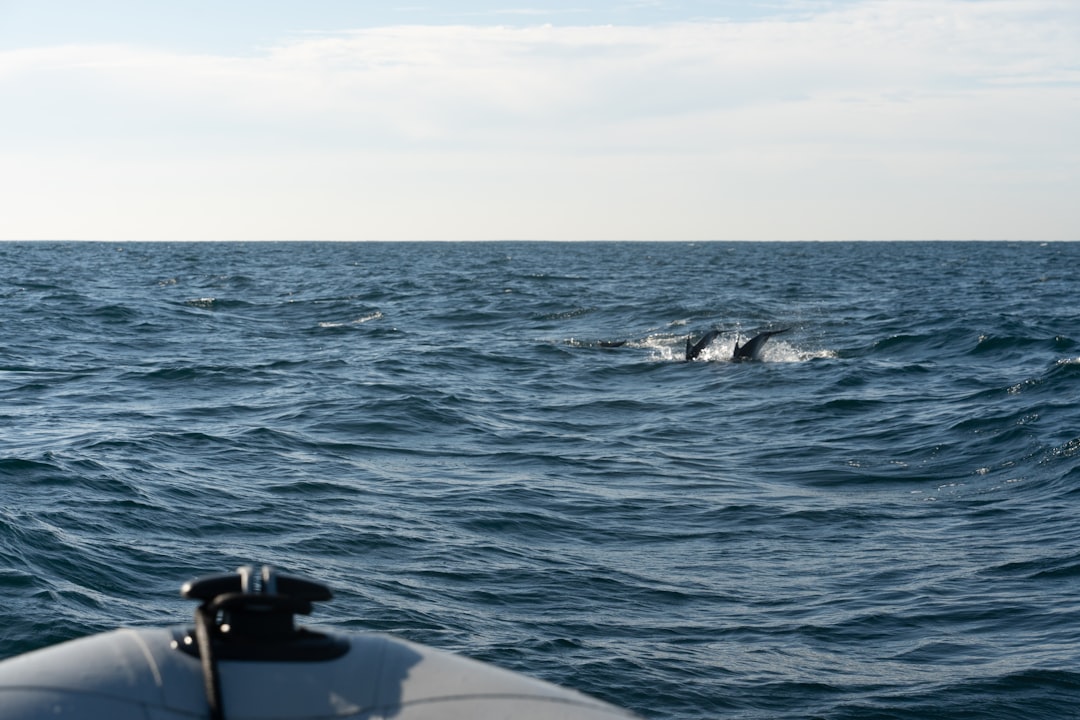 A boat in the middle of a large body of water